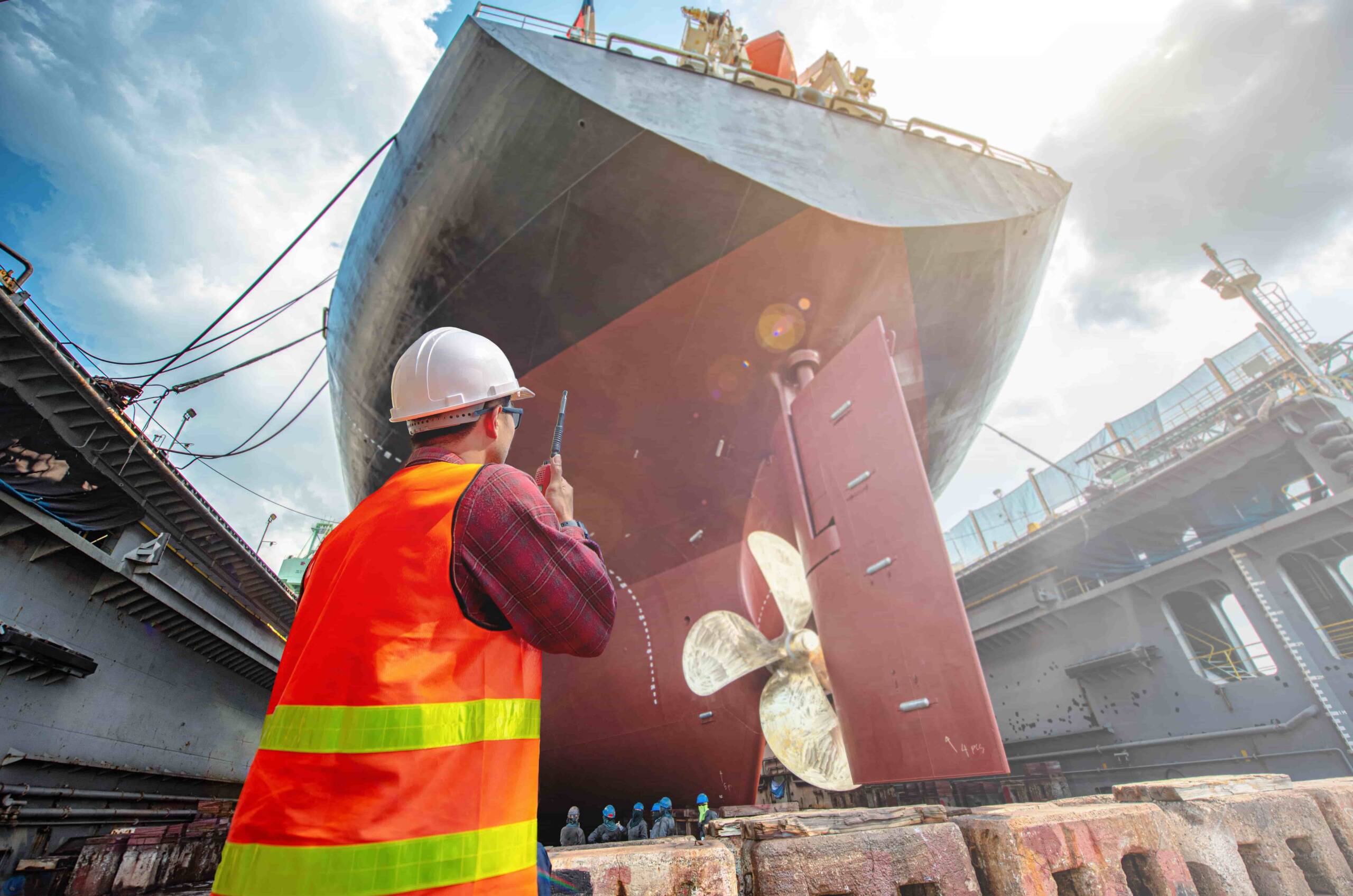 Pre dock inspection