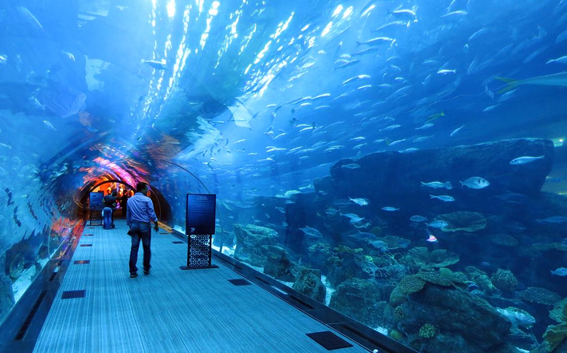 Underwater Marine Services in UAE