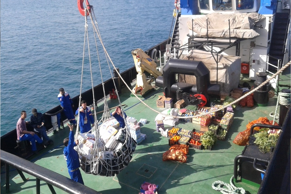 husbandry services in shipping