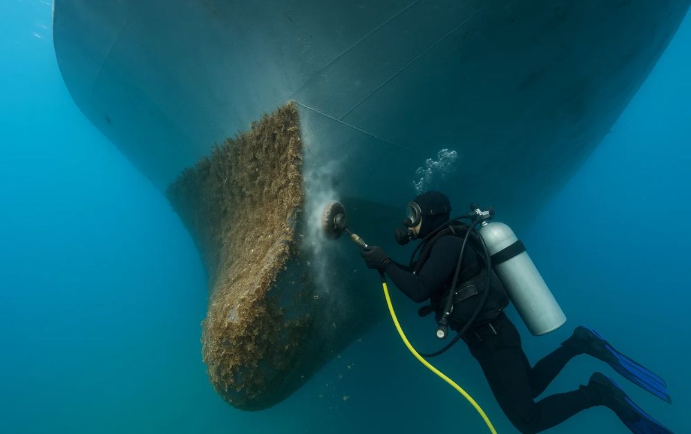 Understanding Hull Fouling and Its Effects