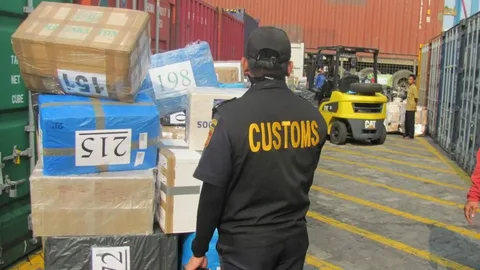 Customs Clearance Documentation Support.